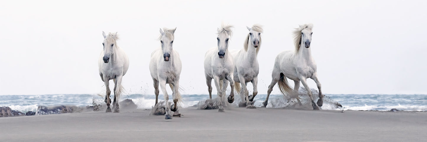 A Run On The Beach