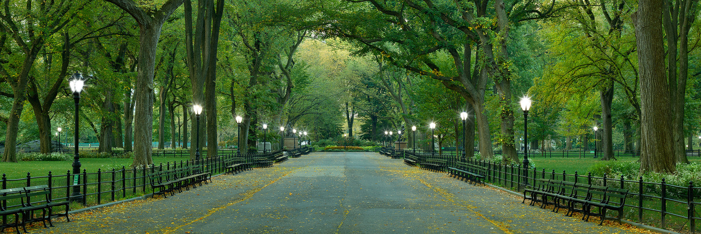 Autumn at The Mall