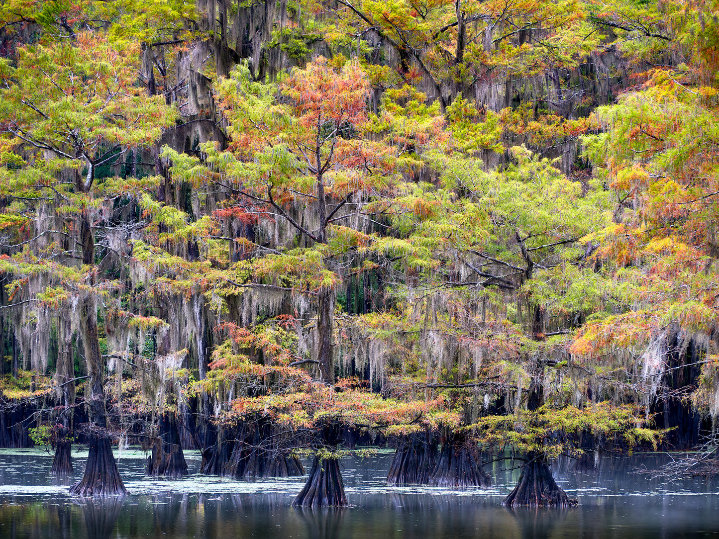 Cypress Colors