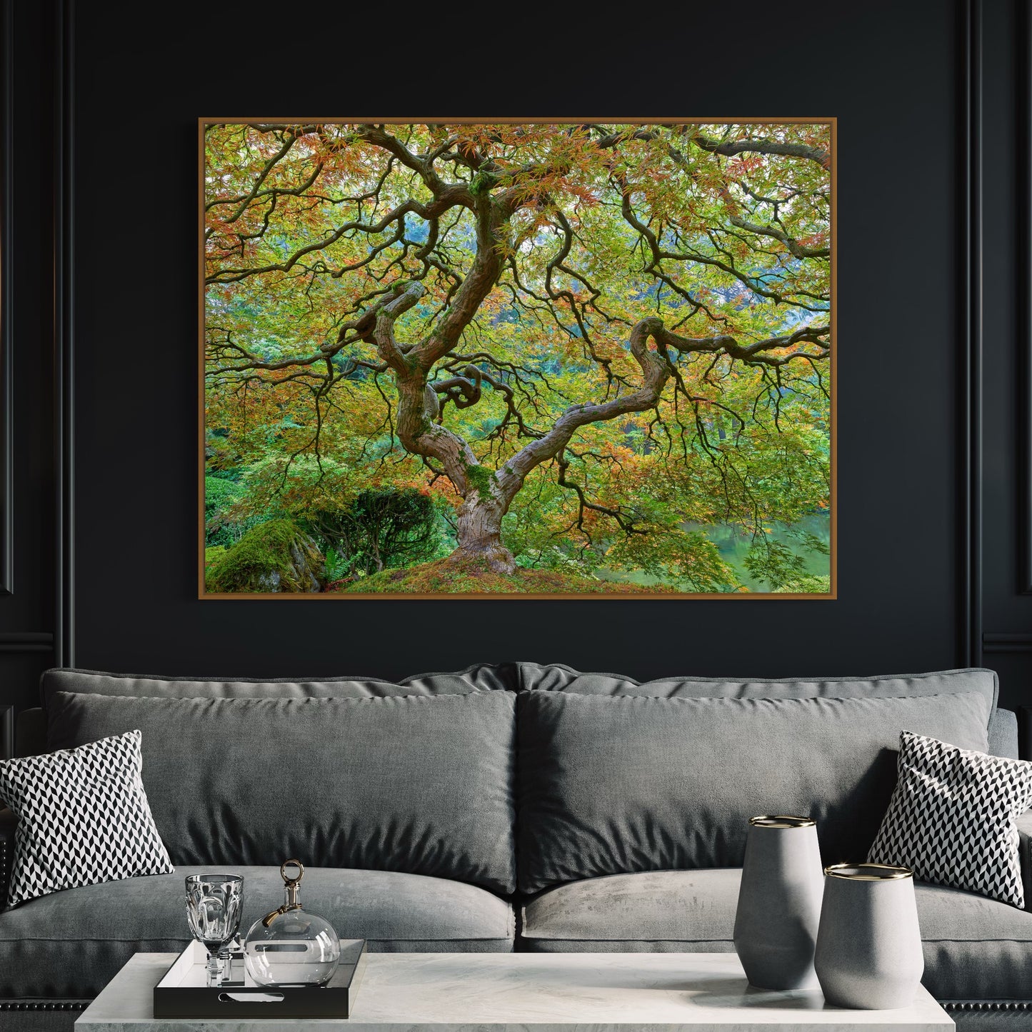 Dragon Maple