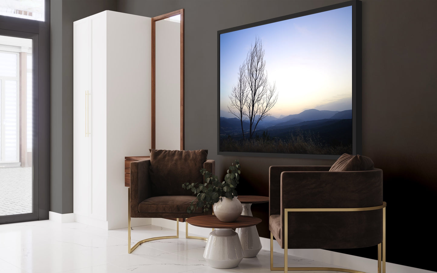 Provence Tree at Daybreak