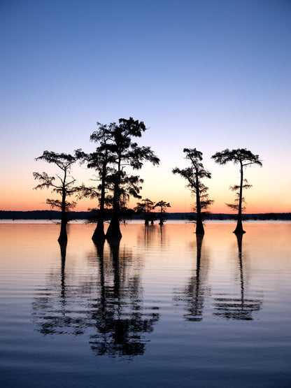 Daybreak At Caddo